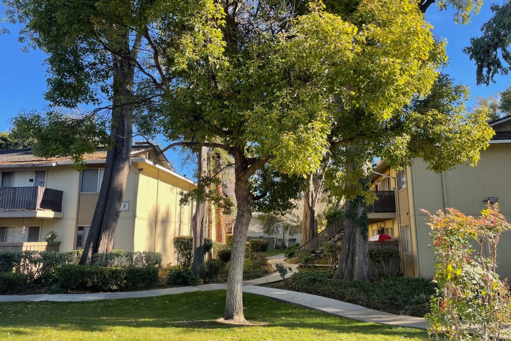 Green space at Almaden 1930 in San Jose, California