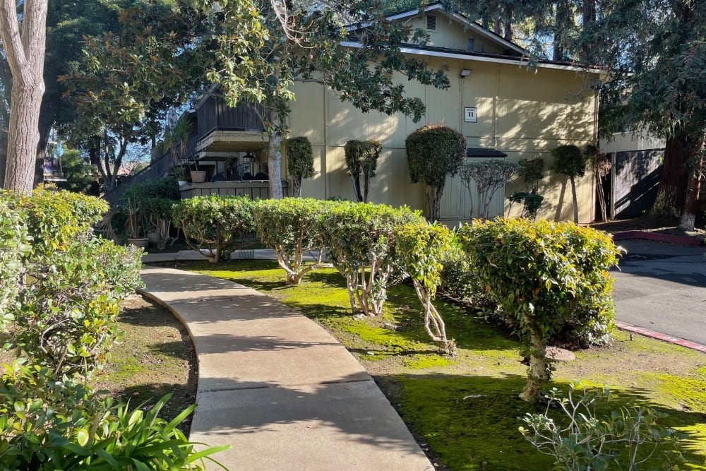 Walkway at Almaden 1930 in San Jose, California