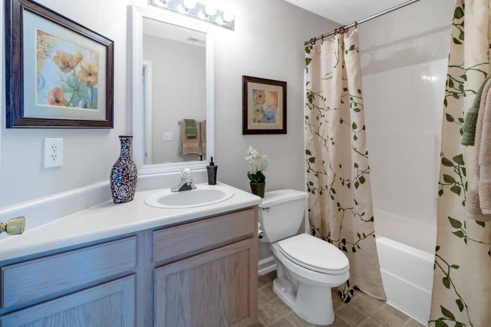 Bathroom with nice details at Coventry Green in Goose Creek, South Carolina