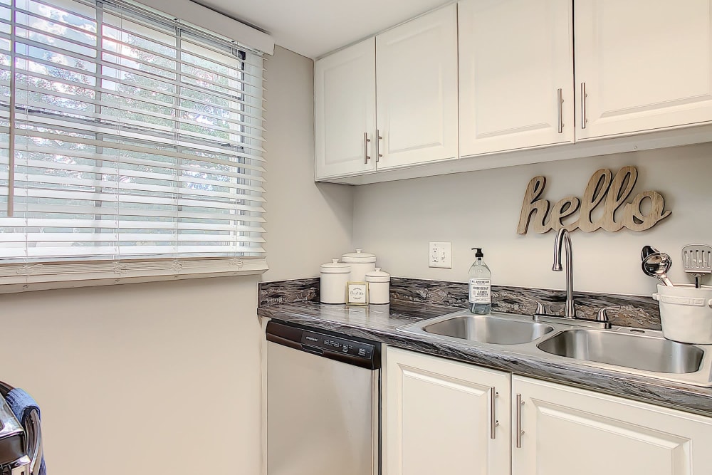 Kitchen counter at The Preserve at Spring Lake in Altamonte Springs, Florida