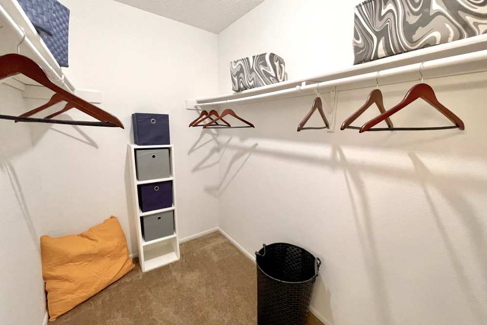 Spacious closet at The Abbey at Medical Center in San Antonio, Texas