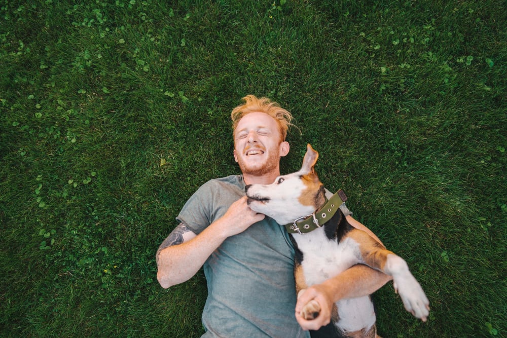 Man playing with his dog at park near at Creekside Park Apartments in Napa, California