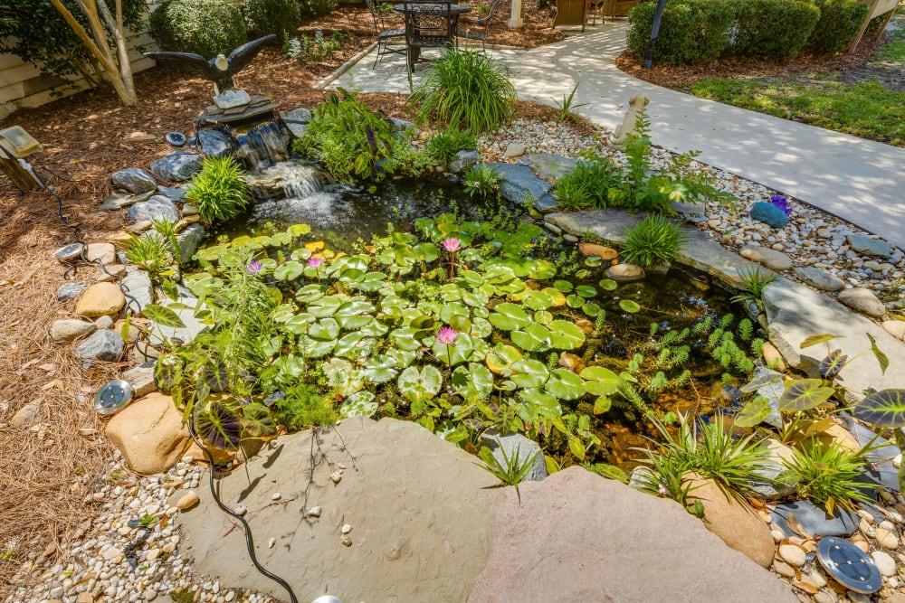 A beautiful outdoor pond at Village Cove Assisted Living in Hilton Head Island, South Carolina