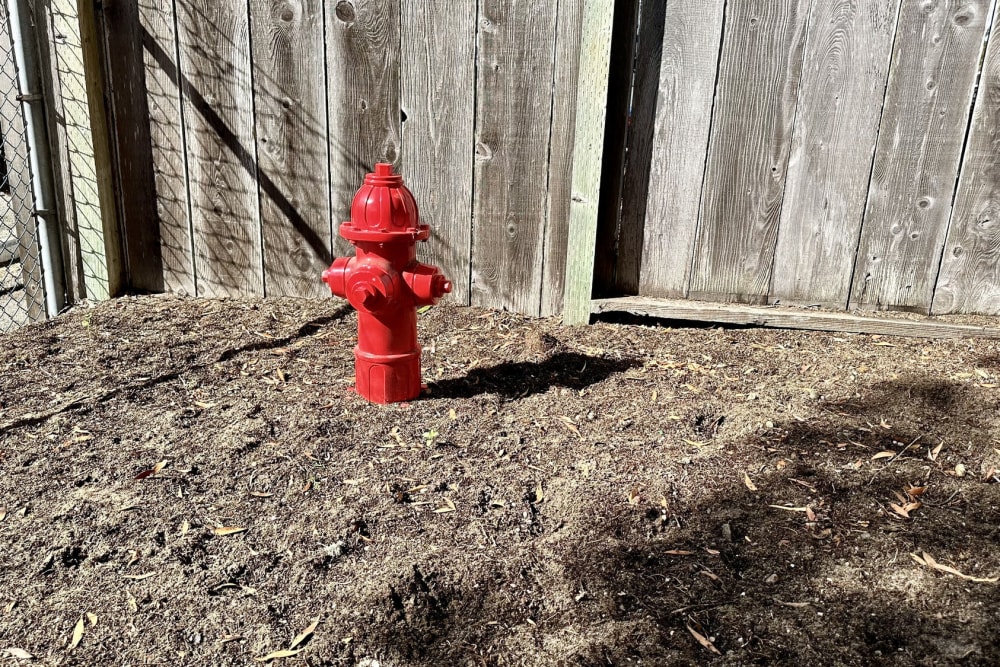 Pet park with a fire hydrant at Marina Crescent in Marina, California