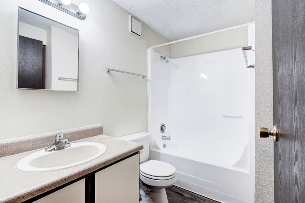 Sink with bath tub at Bridgepoint Apartments in Jacksonville, Florida