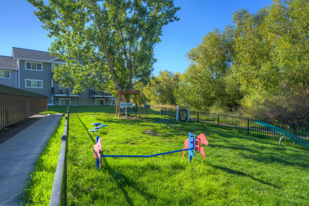 Mountain View Apartments is a pet friendly community with on site dog park Bozeman, Montana