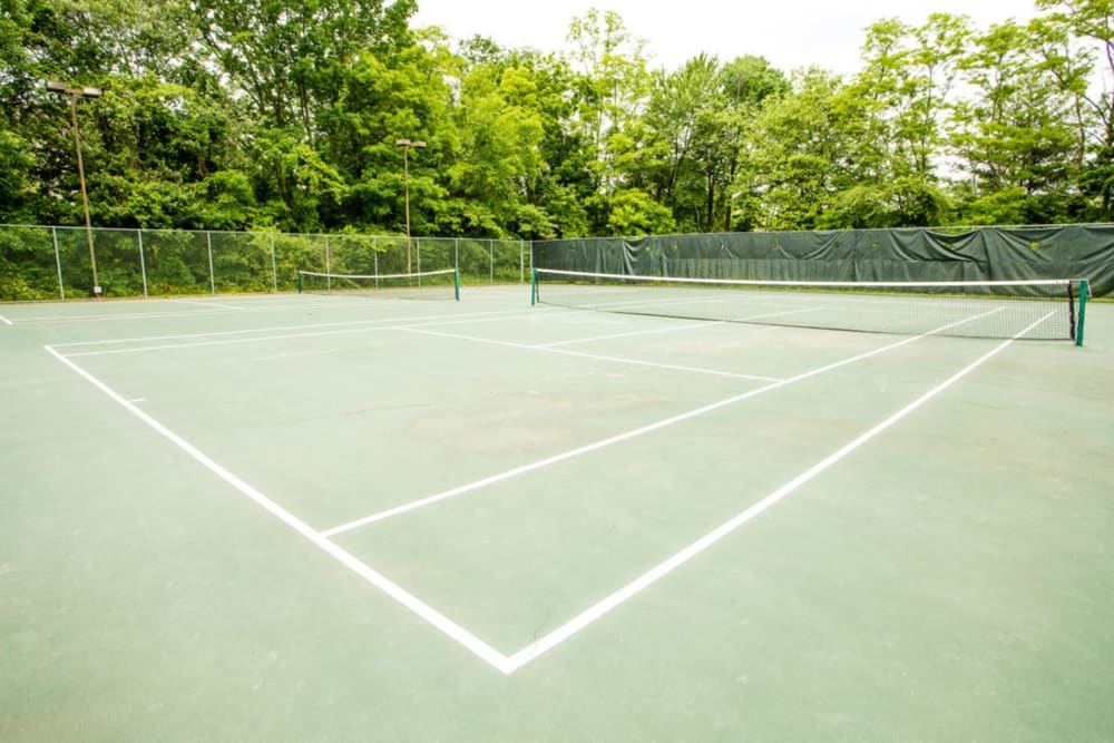 Tennis court Sherwood Crossing in Elkridge, Maryland