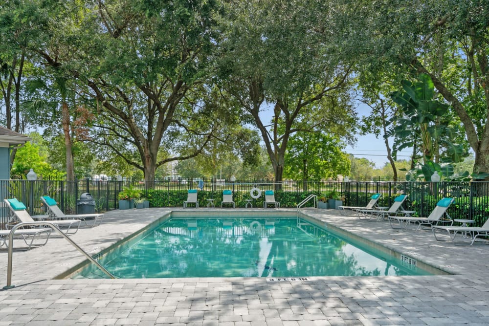 Beautiful swimming pool at The Groves in Port Orange, Florida