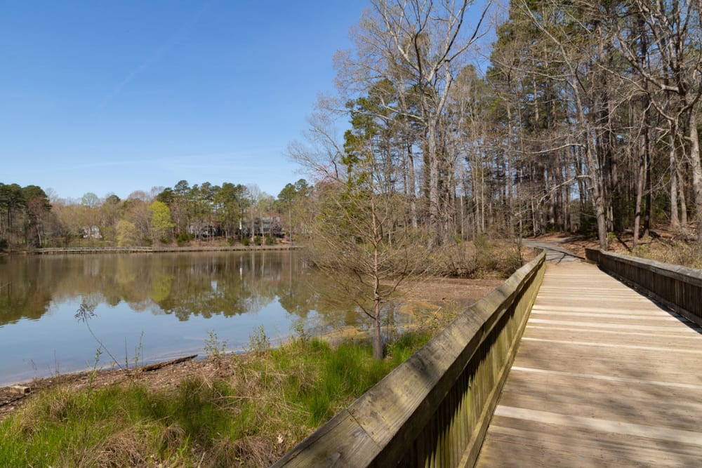 Nature pathway at Sailboat Bay in Raleigh, North Carolina