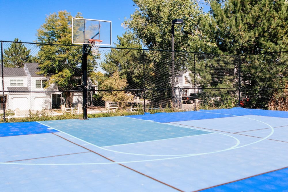 Basketball court at Magnolia Ridge in Thornton, Colorado