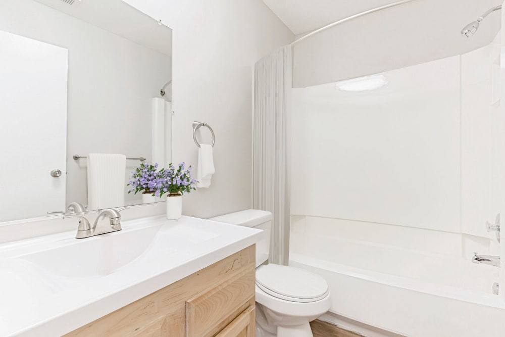 bathroom at Ramblewood Village Apartments in Mount Laurel, New Jersey