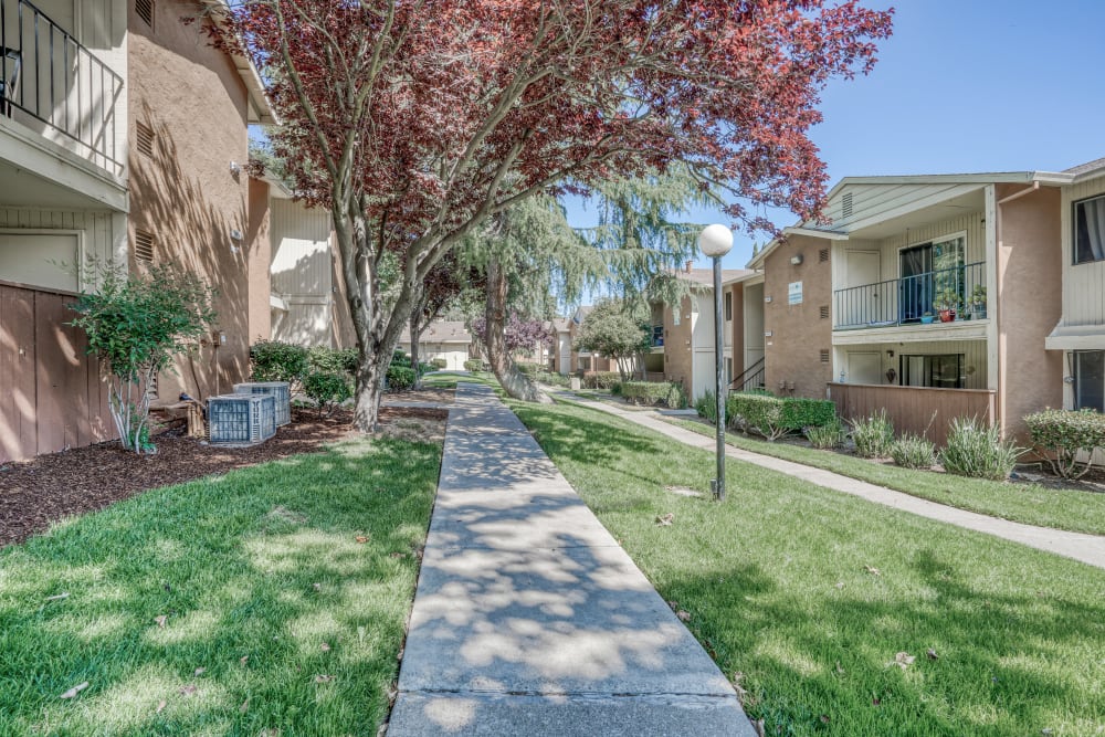 Walkway and lawn at Mission Bay Apartments in Bay Point, California