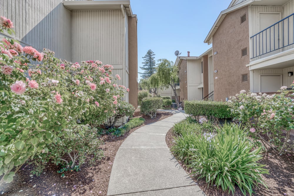 Path to units at Mission Bay Apartments in Bay Point, California