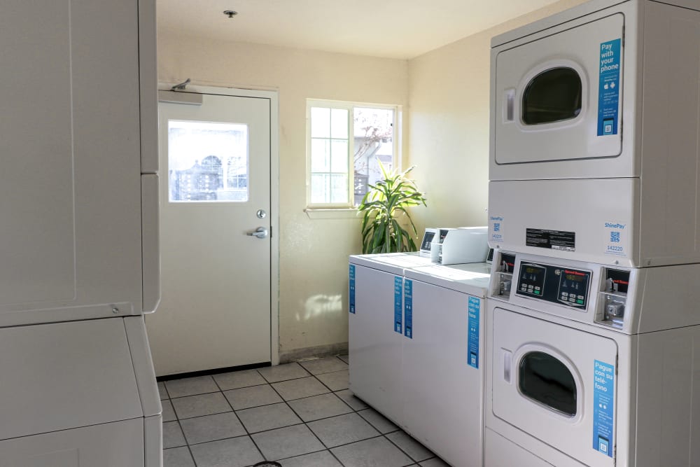 Modern Apartments with a Laundry Facility at Briarwood Apartments