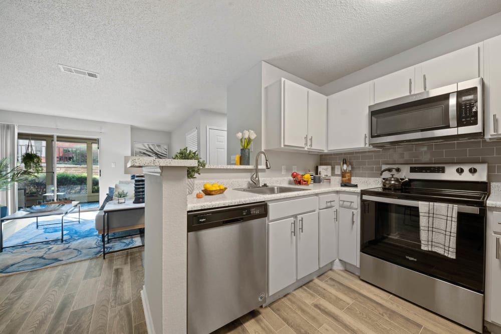 Our Modern Apartments in Lewisville, Texas showcase a Kitchen