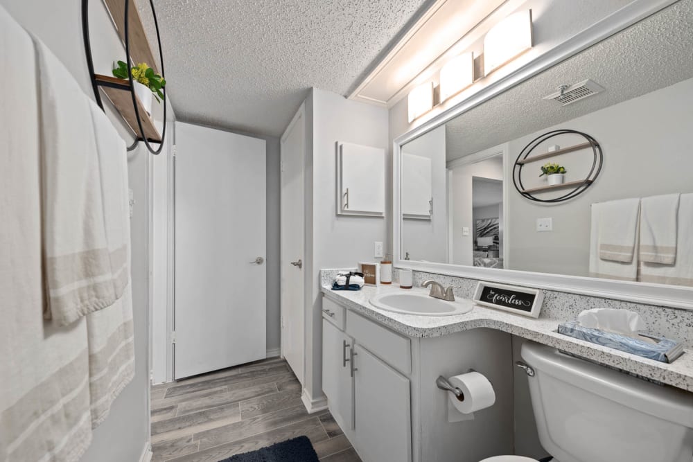 Our Modern Apartments in Lewisville, Texas showcase a Bathroom