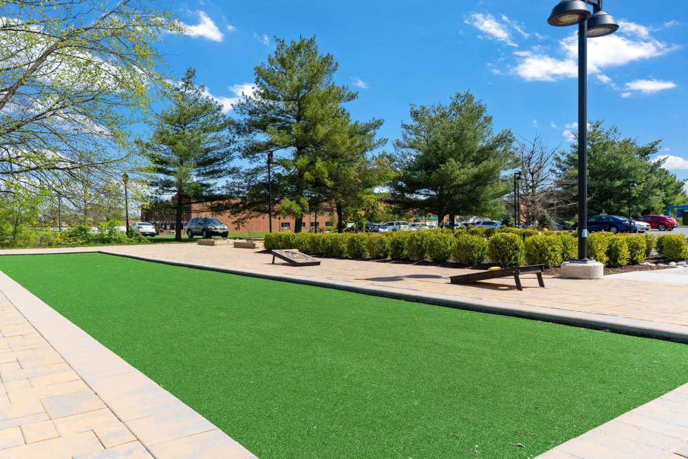 Large well kept lawn at East of Market in Frederick, Maryland