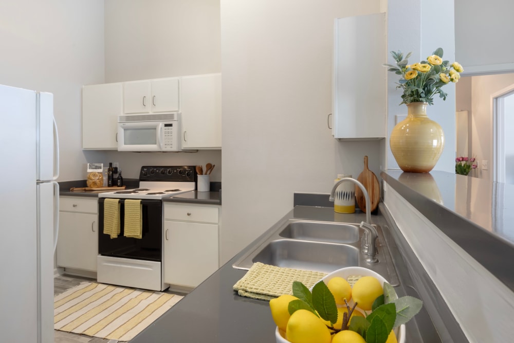 Beautiful Apartments with a Kitchen at Link at Plano