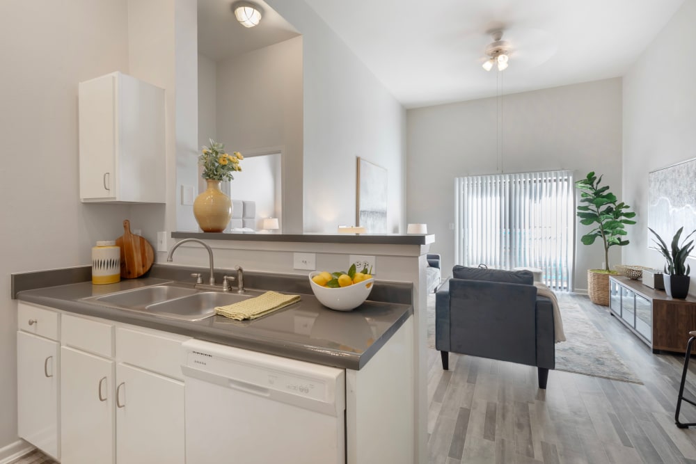 Beautiful Apartments with Custom Cabinetry at Link at Plano