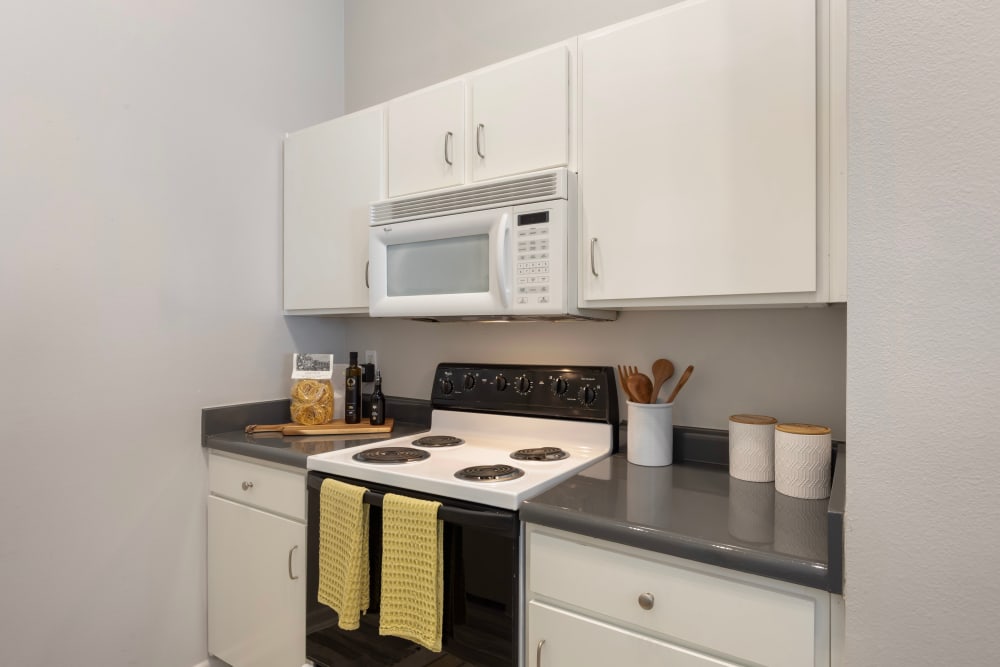 Beautiful Apartments with Stainless-Steel Appliances at Link at Plano