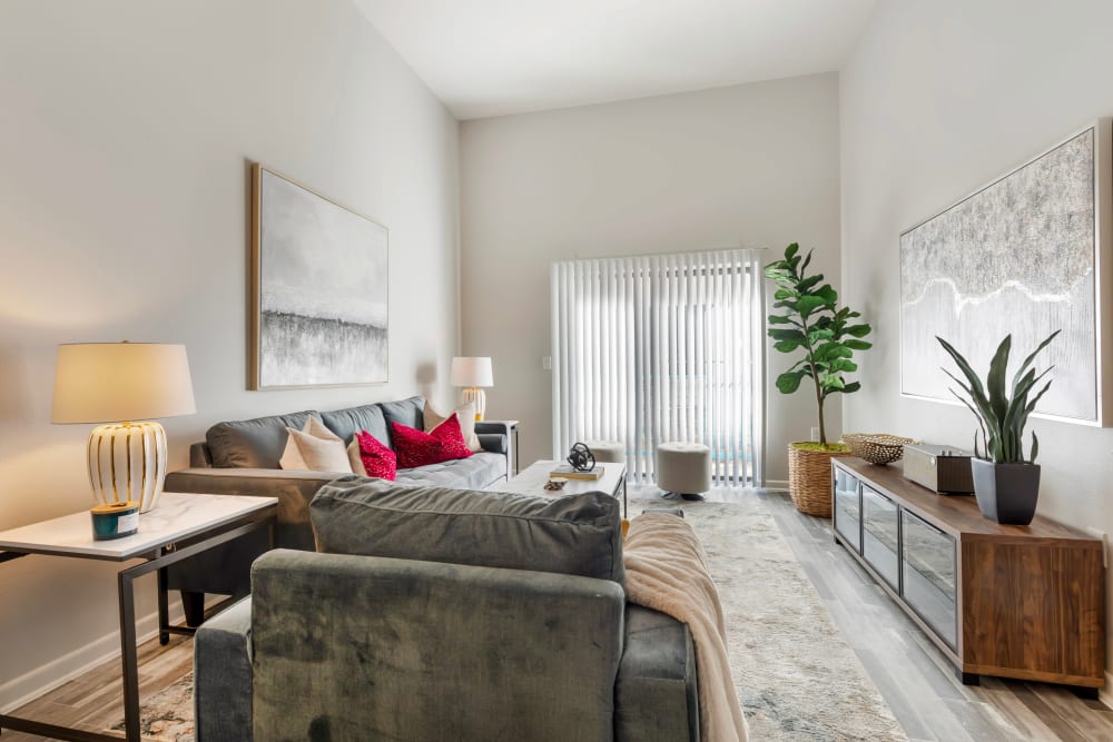 Enjoy our Beautiful Apartments Living Room at Link at Plano