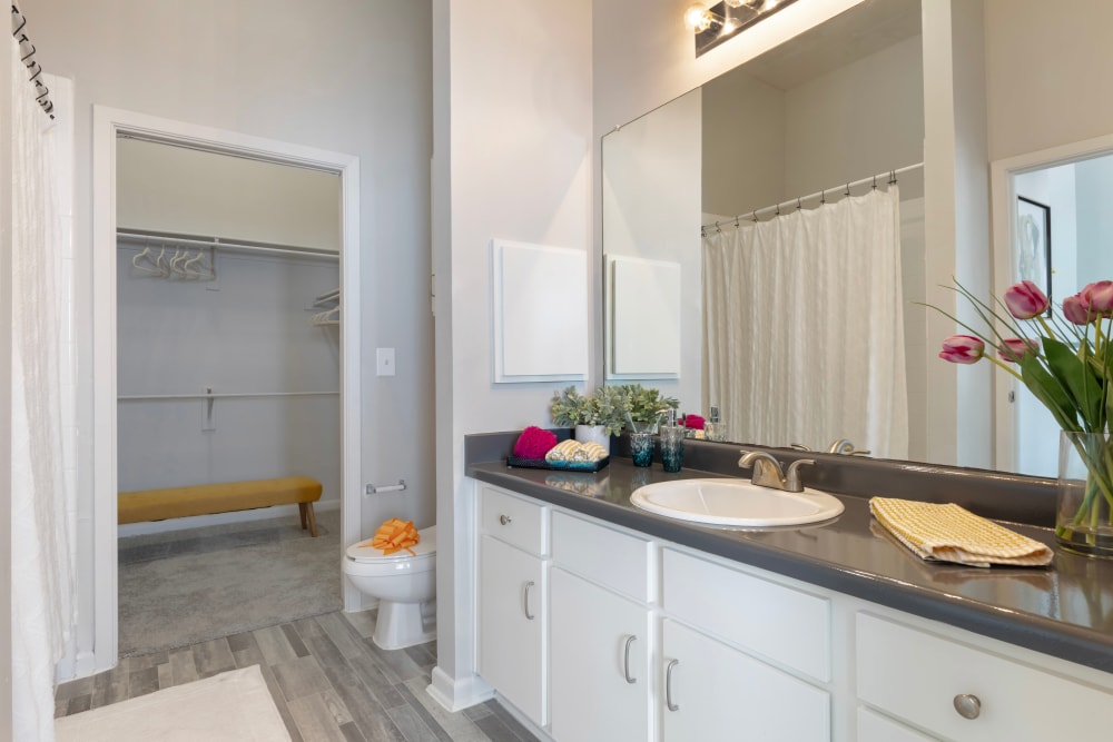 Beautiful Apartments with a Bathroom at Link at Plano