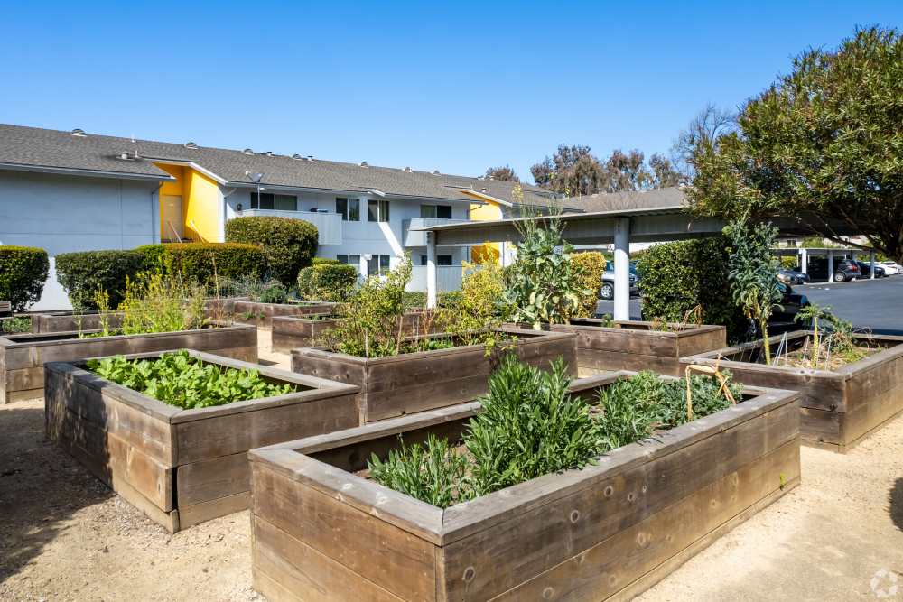 Exterior gardening area at Lakeside Village in San Leandro, California