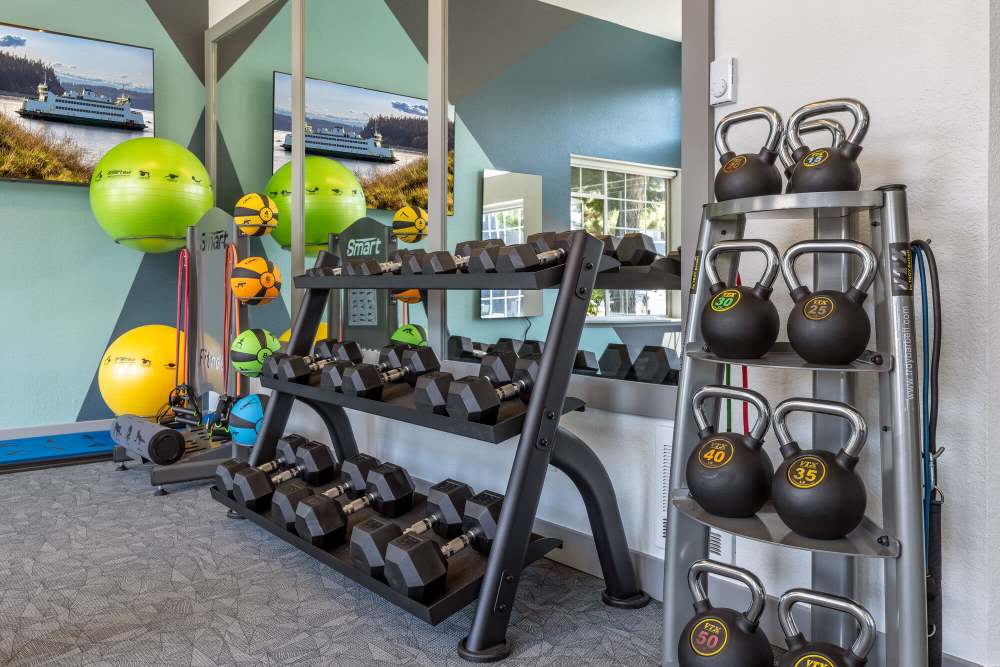 Fitness center with exercise balls at 1202 Pearl in Tacoma, Washington