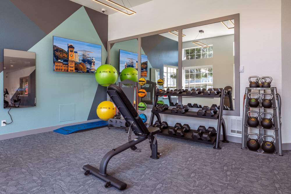 Fitness center with free weights at 1202 Pearl in Tacoma, Washington