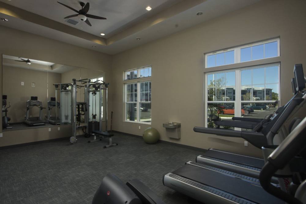 Spacious fitness center with modern equipment at The Edge at Brandon in Brandon, Florida