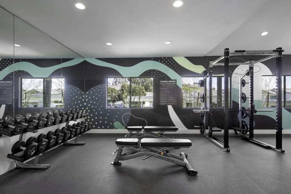 Weights in the fitness center at Marea in Dana Point, California
