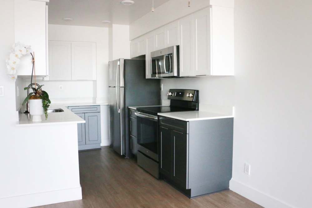 Kitchen with wood-style flooring and cabinetry at 1900 Ocean Apartment Homes in Long Beach,California