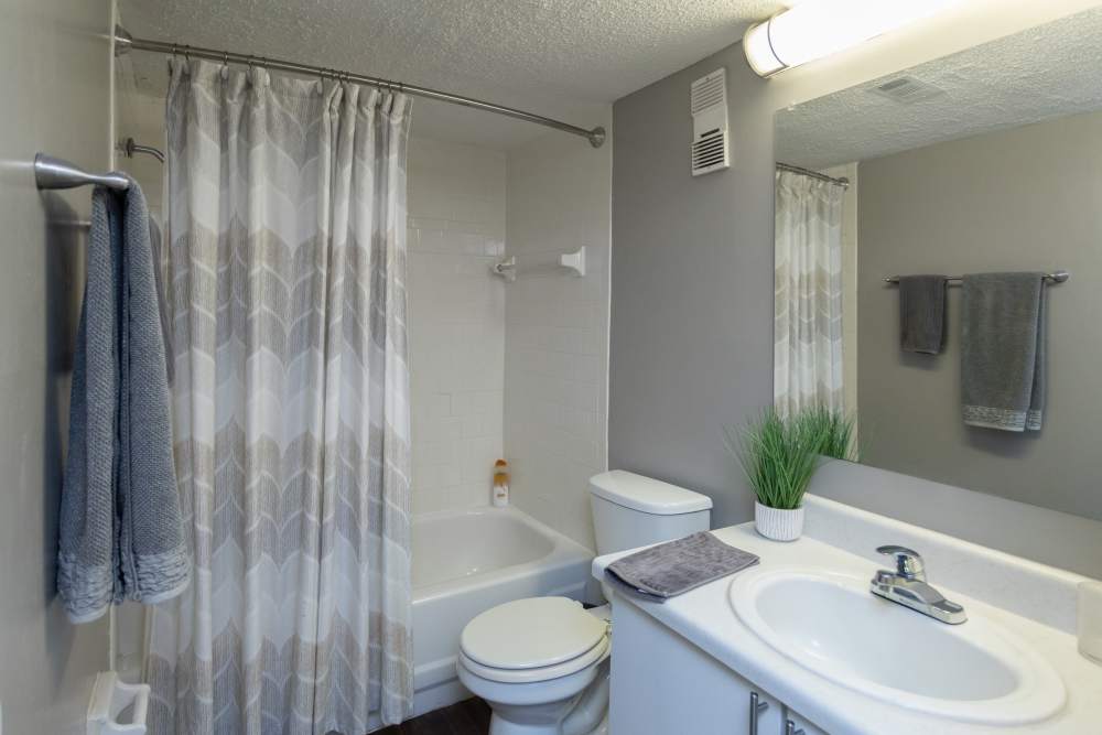 Apartment bathroom at Acasă High Road in Tallahassee, Florida