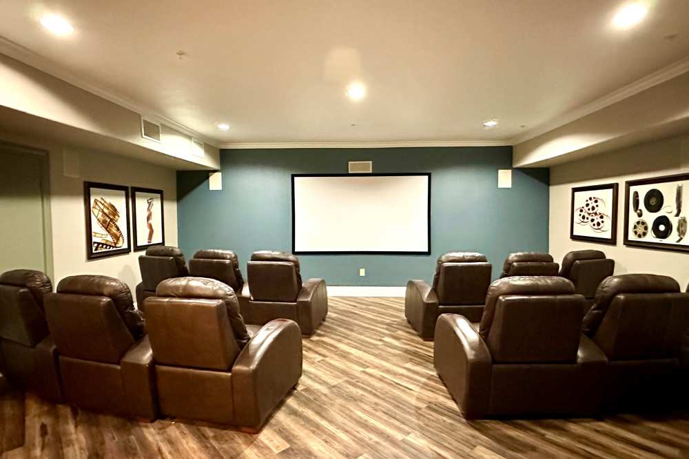 Cozy movie room with rows of plush seating and a large screen inviting viewers to relax and enjoy a cinematic experience