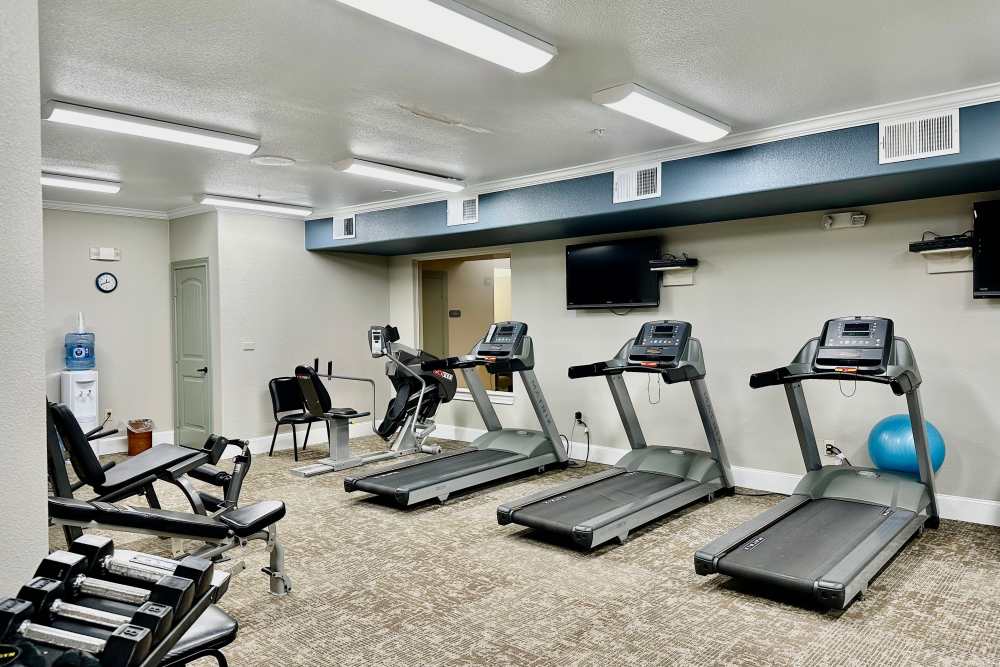 Indoor gym with free weights and multiple treadmills in a room with natural lighting