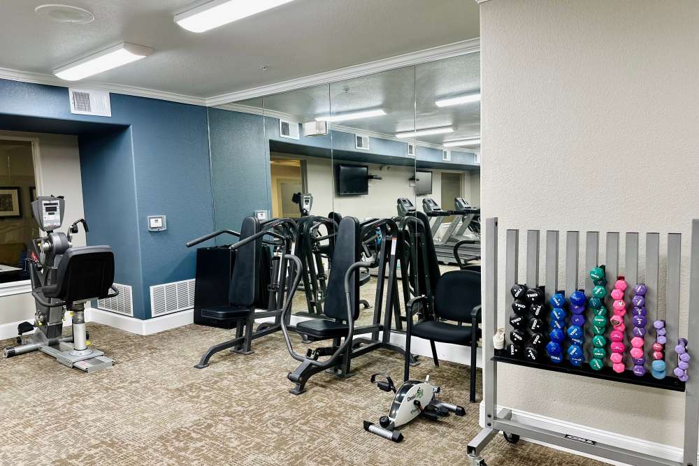 Indoor gym with exercise equipment and mirrored wall inviting users to engage in fitness activities