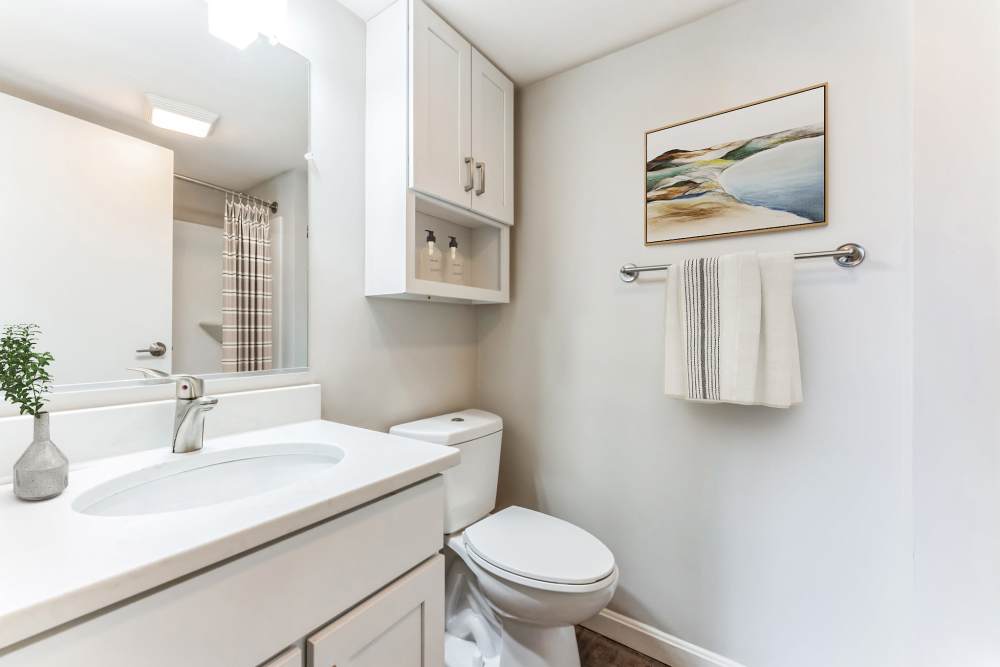 Clean and bright bathroom at Eagle Rock Apartments at MetroWest in Framingham, Massachusetts