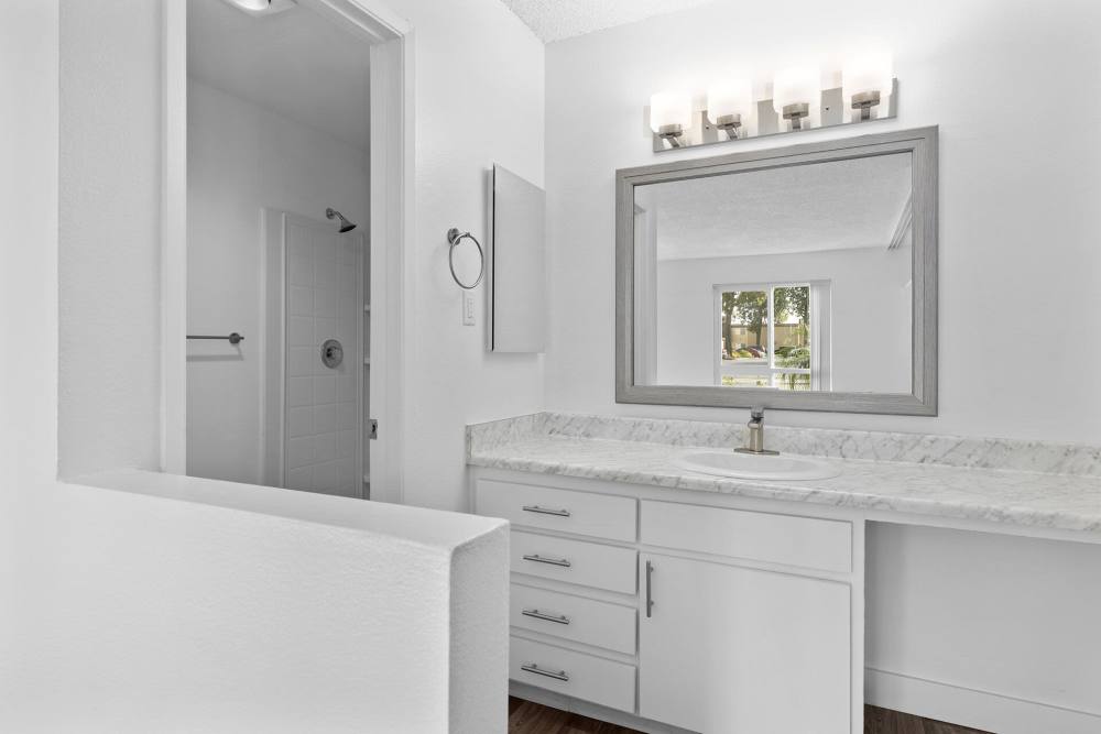 Bathroom with good counter space at Terre at Mollison in El Cajon, California