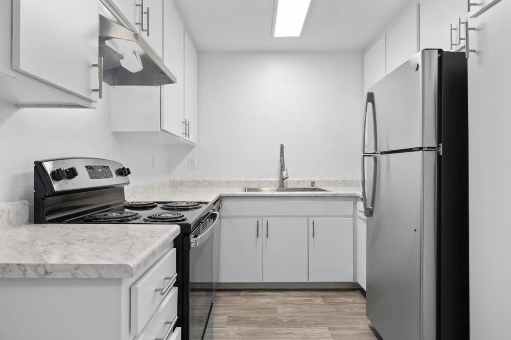 Kitchen with great counter space at Terre at Mollison in El Cajon, California