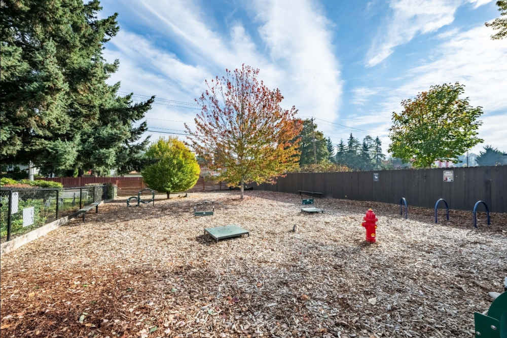 Pet park for dogs or other pets of residents at Terra Apartment Homes in Federal Way, Washington