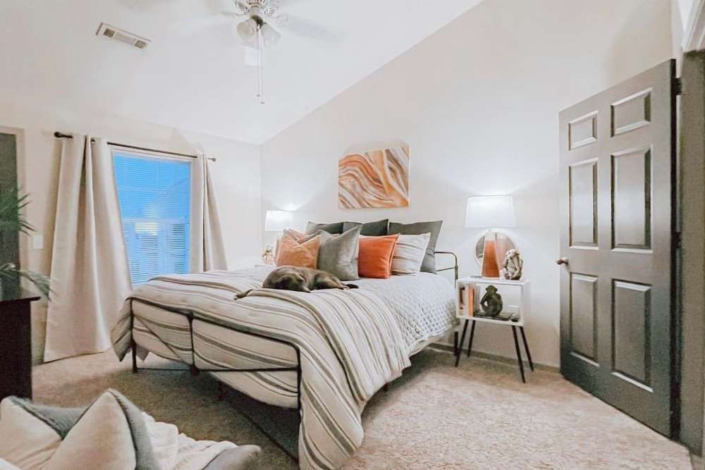 Apartment bedroom with dog sleeping on bed at The Landing at Fayetteville in Fayetteville, Arkansas