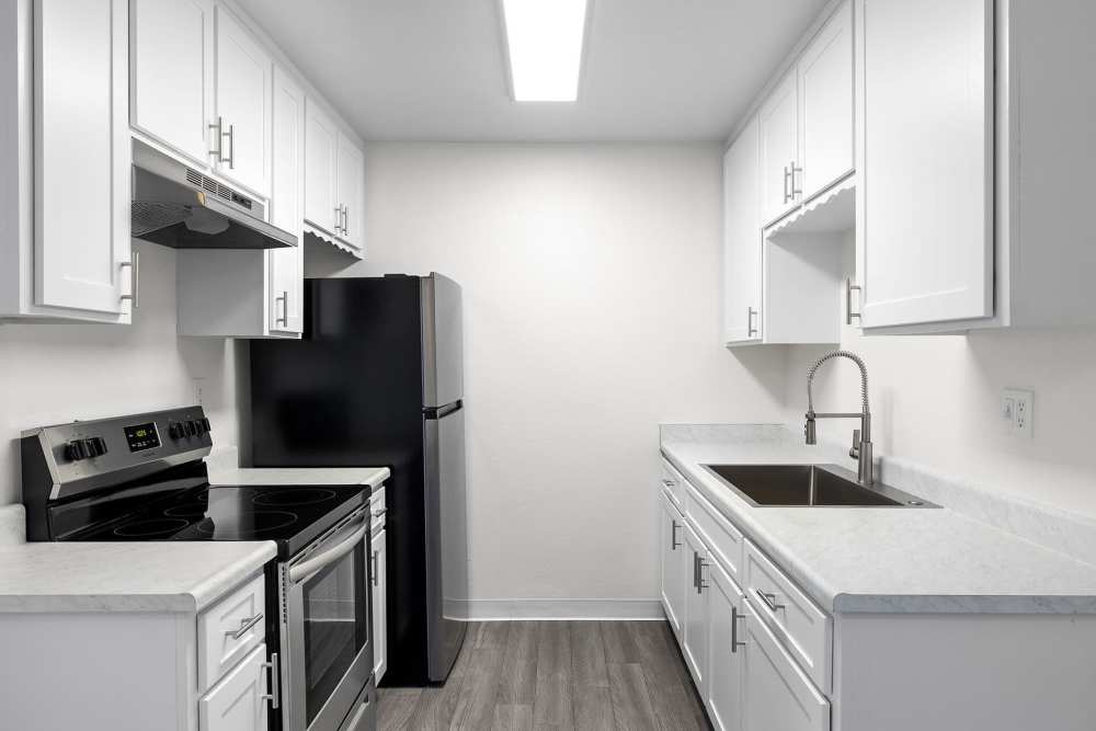 Kitchen View in San Diego, California