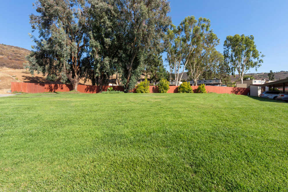 Yard Terre at Creekside in Santee, California