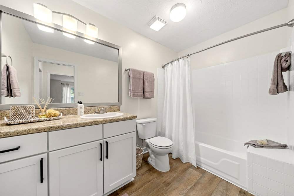 Bathroom at The Laurel Apartments in Spartanburg, South Carolina