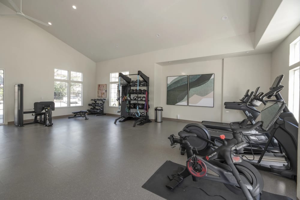 Well-equipped fitness center with cardio machines at Avalon in Davis, California