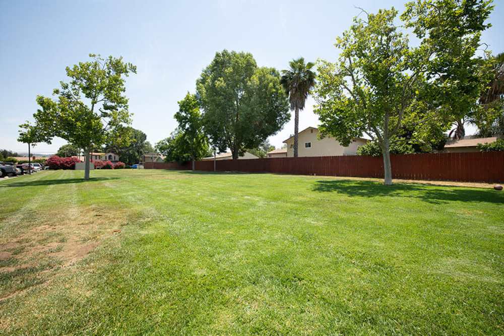 Lots of room to move around outside at Terre at the Ranch in Ramona, California