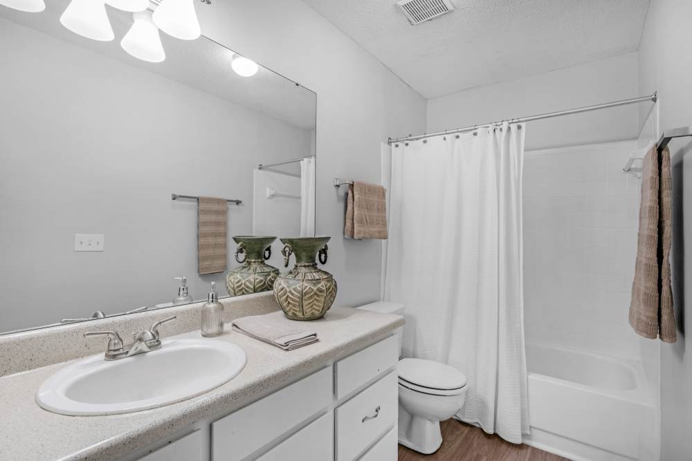 Spacious bathroom with sink and mirror at The Oasis at Regal Oaks in Charlotte, North Carolina