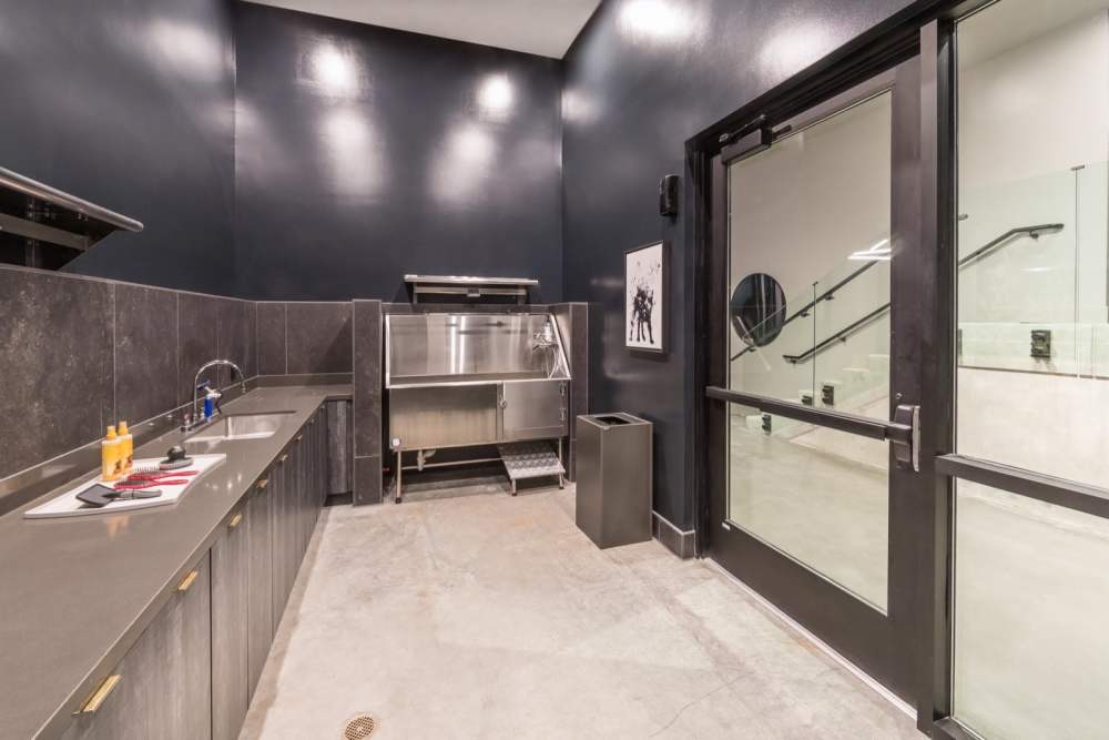 Dog wash at Reno Experience District in Reno, Nevada