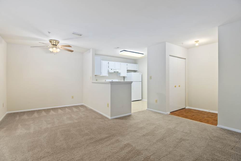 Model home with soft carpet at WOODS OF MARLTON in Upper Marlboro, Maryland