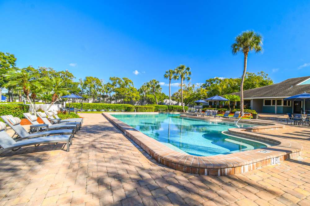 Luxury inground pool at Coopers Pond in Tampa, Florida